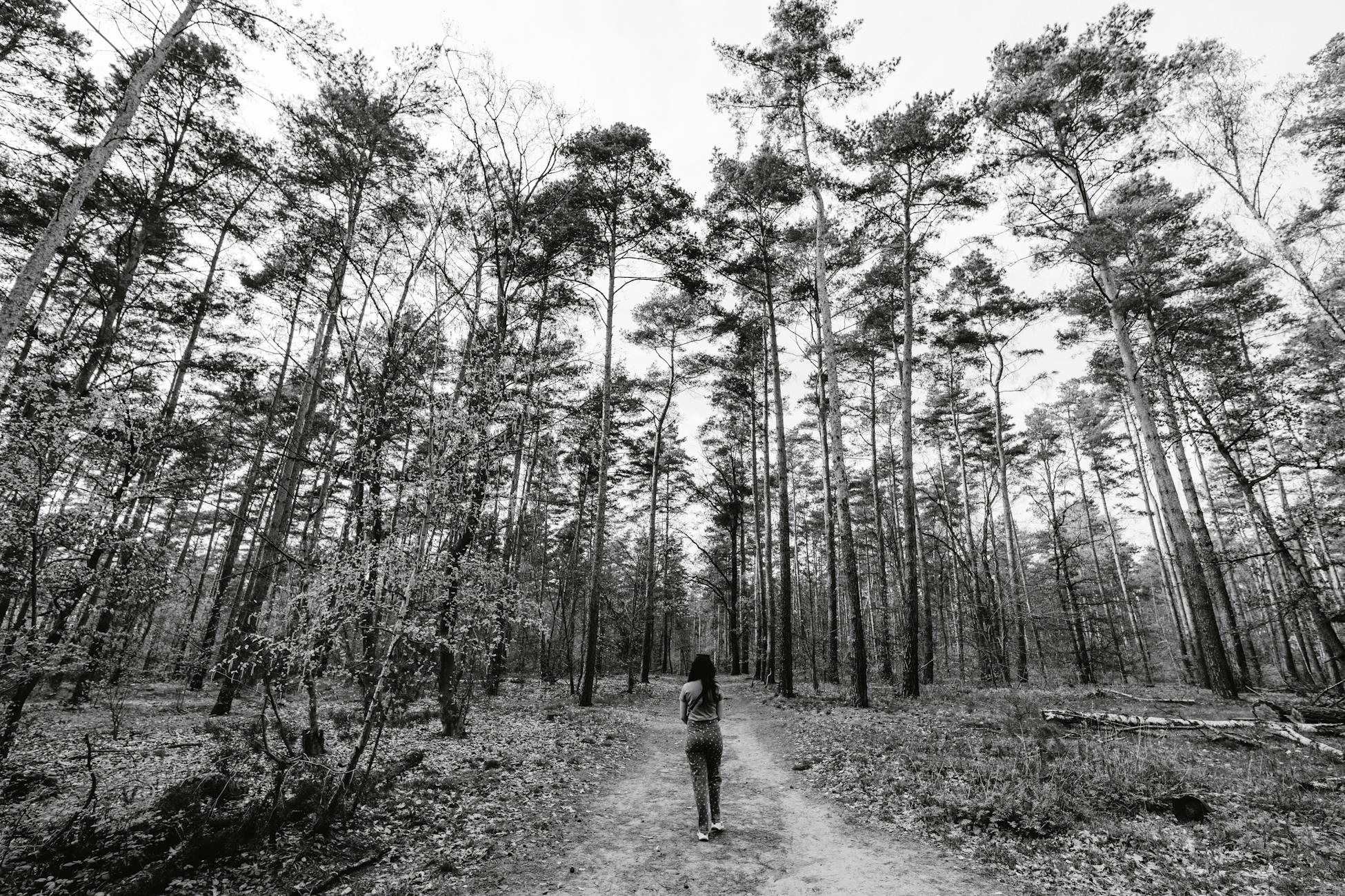 Woman walking on a forest path in Berlin, Germany in black and white.