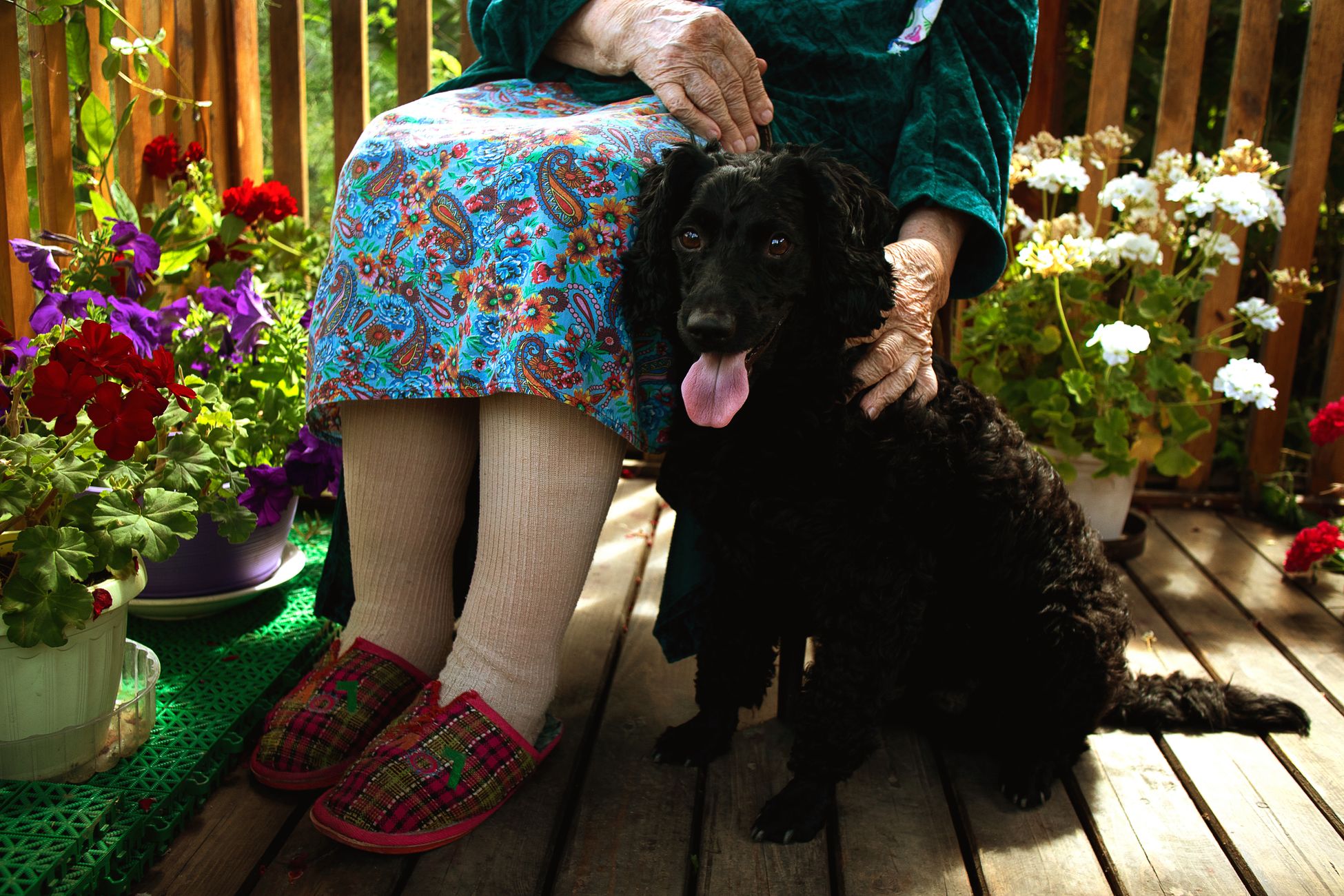 Senior woman with a black dog sitting on a porch surrounded by flowers.